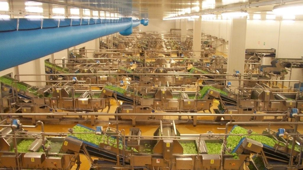 Bergamo, Bonduelle oltre Covid e crisi: l'azienda amplia l'organico e assume