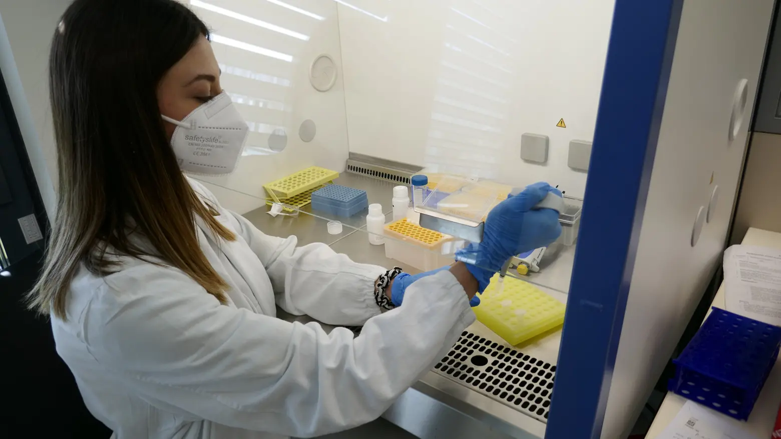 Raccolta di campioni per una biopsia (Archivio)