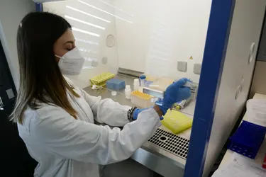 Cos’è la leucemia mielomonocitica cronica: chemioterapia e speranza di vita