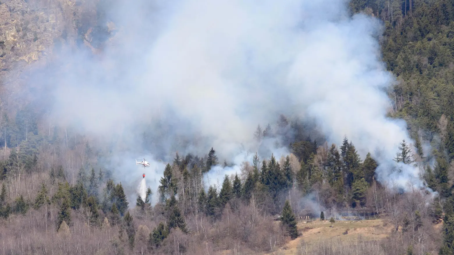 Incendio nei boschi sopra Pedesina Incendio nei boschi sopra Pedesina