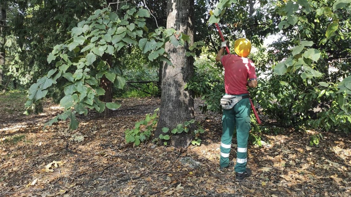 Nel mirino l’appalto sospetto. Gli interventi dopo la tempesta: "Ora indaghi l’Anticorruzione" Nel mirino l’appalto sospetto. Gli interventi dopo la tempesta: "Ora indaghi l’Anticorruzione"