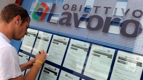 Offerte di lavoro