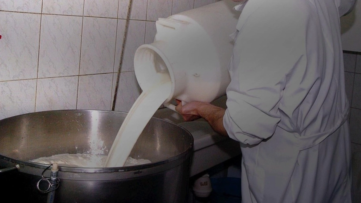 Un'immagine di repertorio di lavorazione del latte (Newpress)