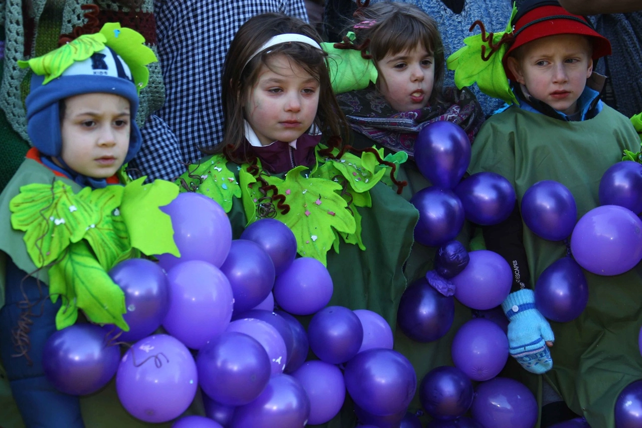 CARNEVALE A SONDRIO_2889511_171949