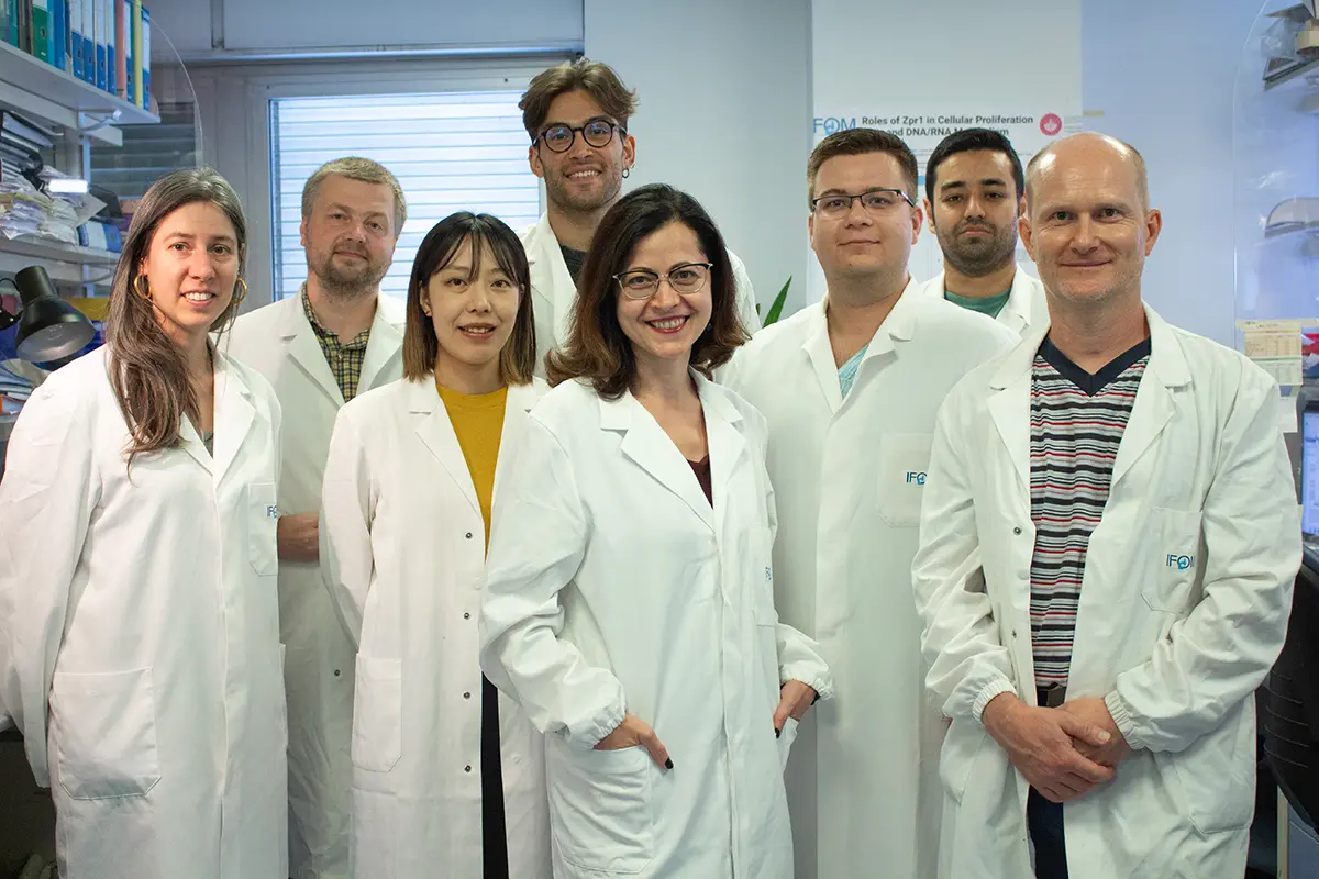 Dana Branzei vince fondi per la ricerca sulla progressione del cancro. Obiettivo? Terapie mirate