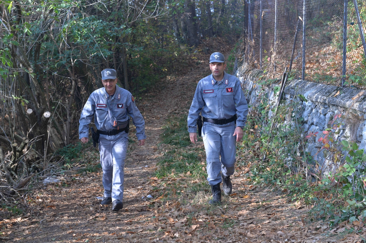 immagine di sfondo 18