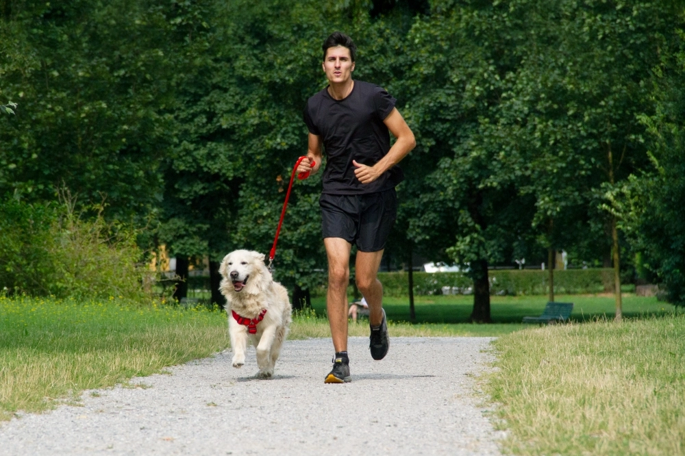 Bob Martin Dog Run