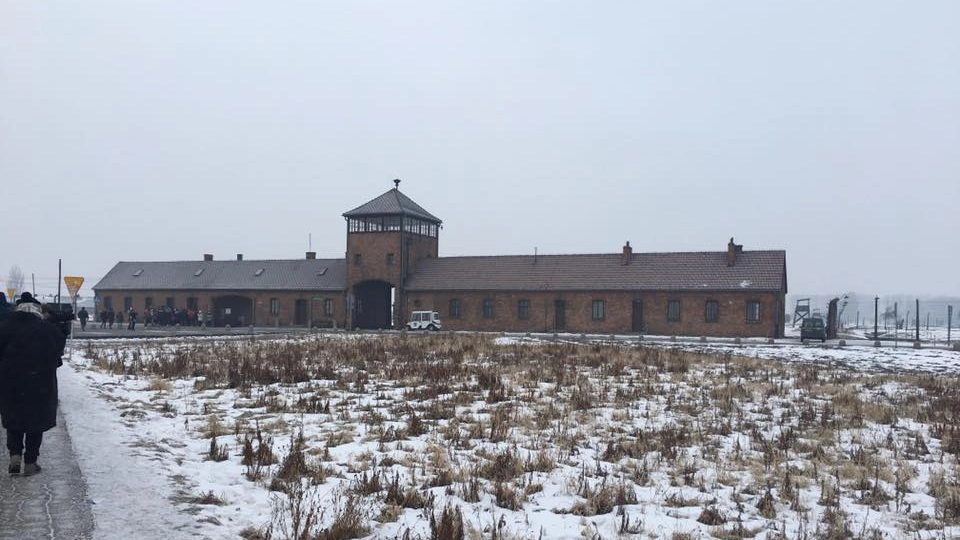 Auschwitz, Polonia 