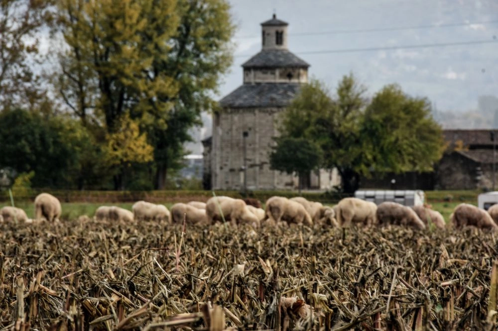 Almenno San Bartolomeo (Foto di Bruna Bianchi)