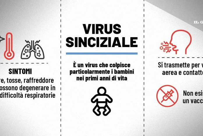 Cos'è il virus sincinziale
