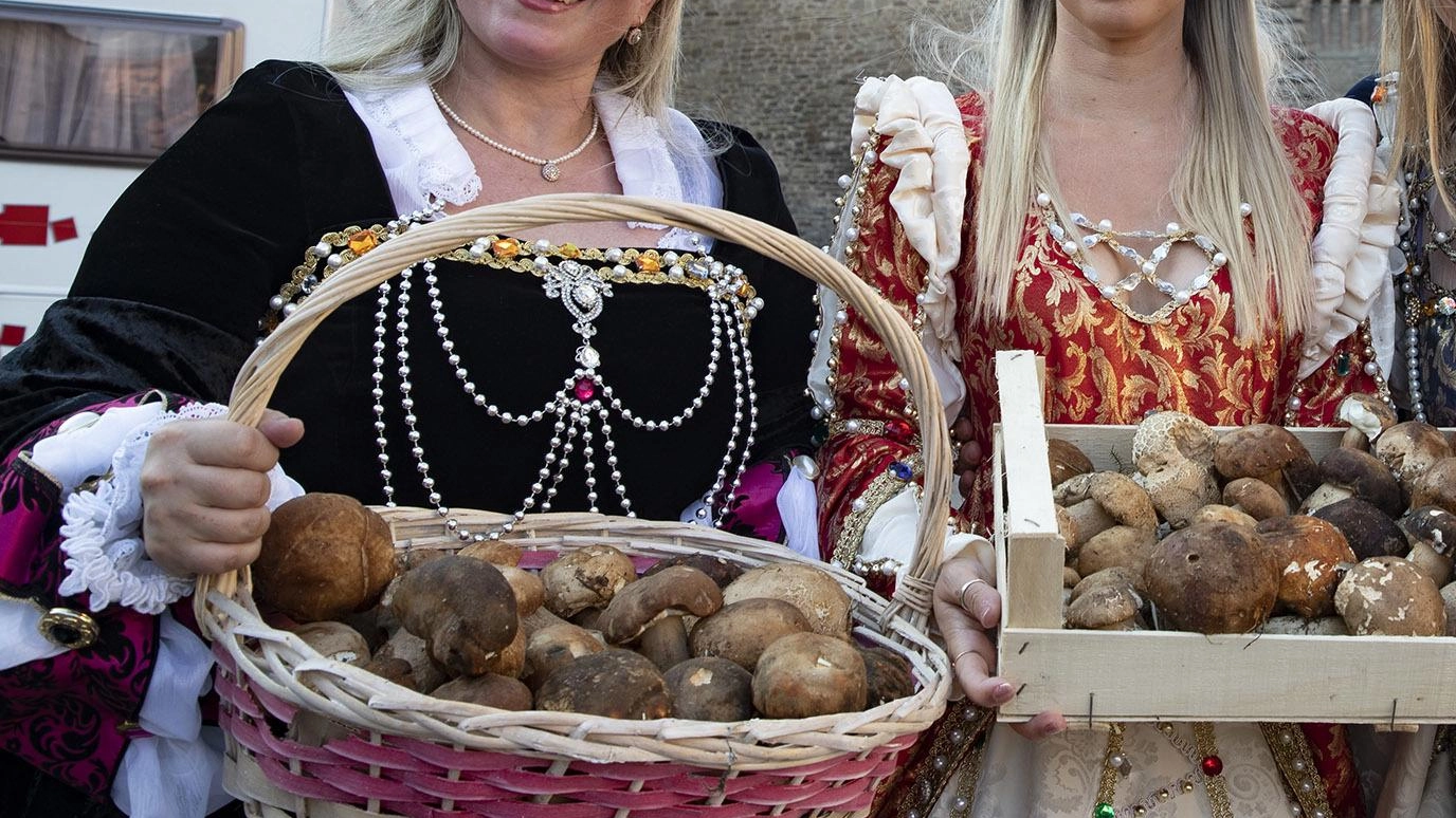 Dopo i pizzoccheri tocca ai funghi. Così Teglio diventa capitale dei sapori
