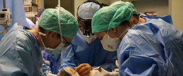 Maratona di trapianti di polmone a Milano: al Policlinico sette in pochi giorni