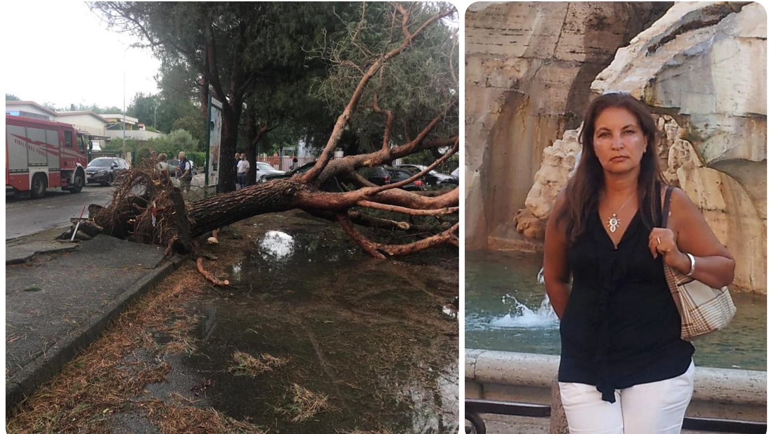 Salma Halim morta travolta da un albero