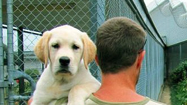 Pet therapy in carcere