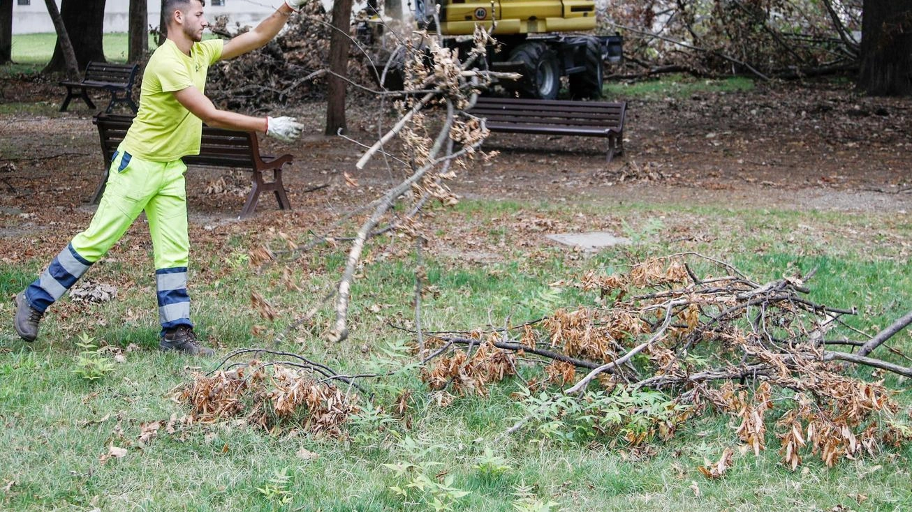 Riapre il parco di Villa Litta: "Danni ingenti, piante crollate. Ma ora l’area è accessibile"