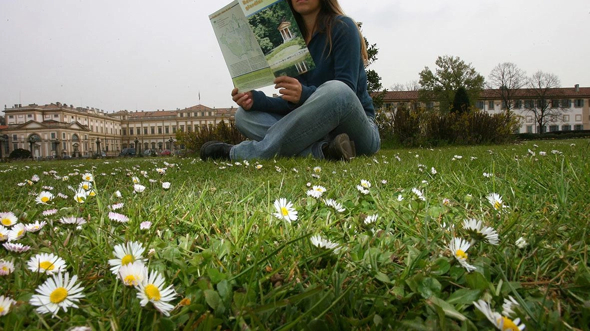 Il cuore verde dell’arte. Una passeggiata tra le ville aperte e i grandi alberi feriti Il cuore verde dell’arte. Una passeggiata tra le ville aperte e i grandi alberi feriti