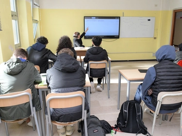 immagine articolo