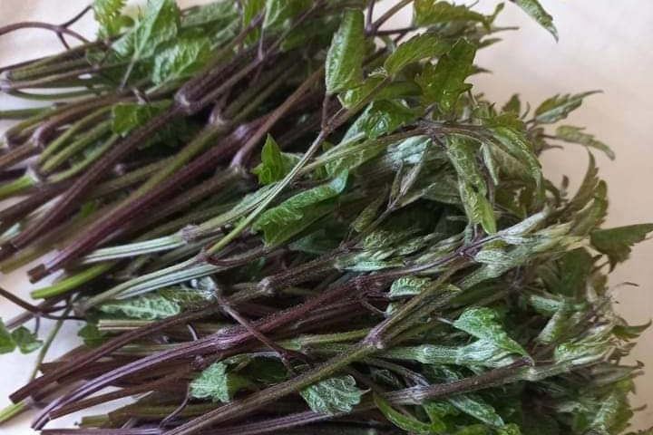 Loertis (Facebook Sagra del Loertis Castel Mella)
