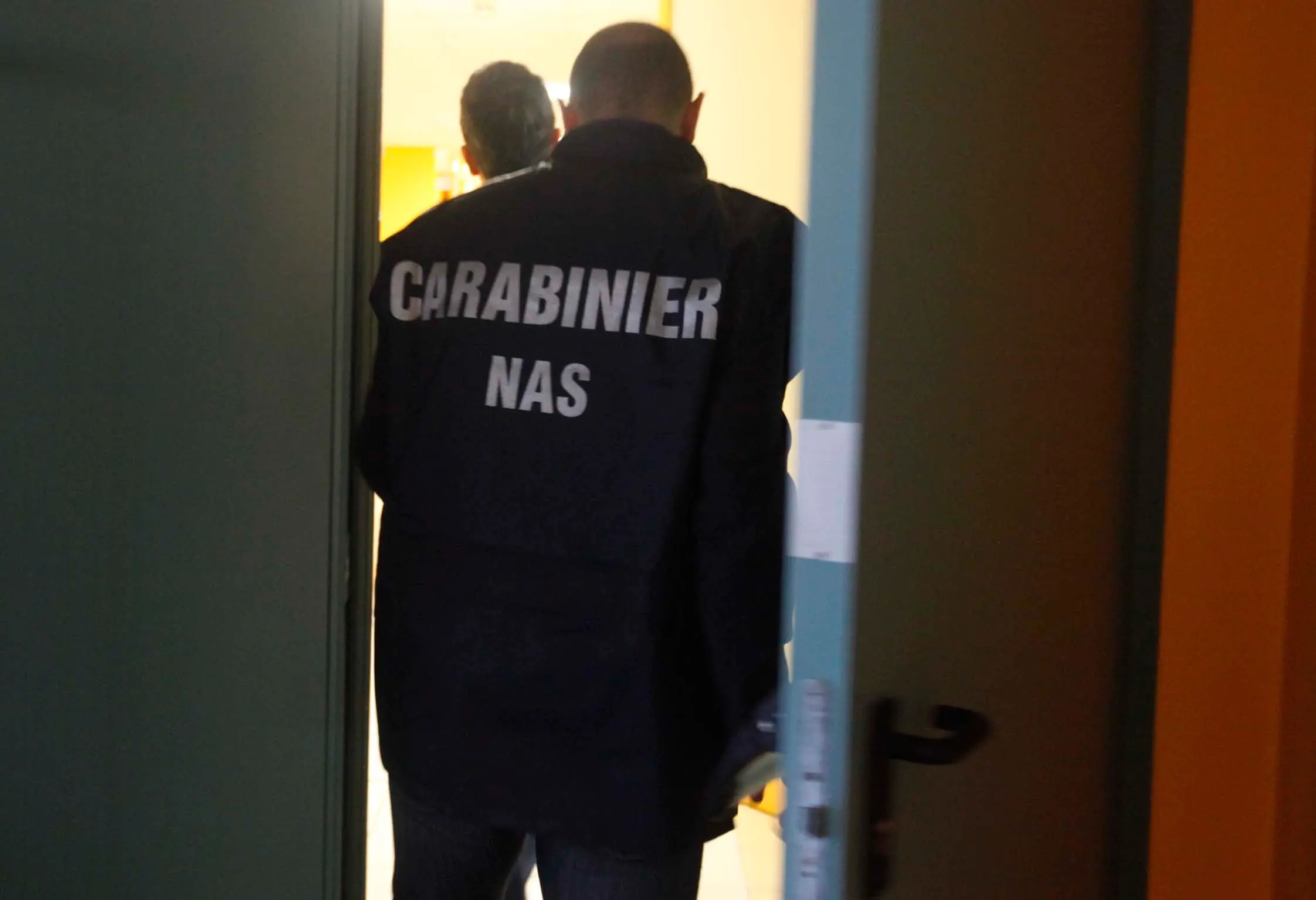 Traffico illegale di farmaci veterinari, sequestri e tre denunce