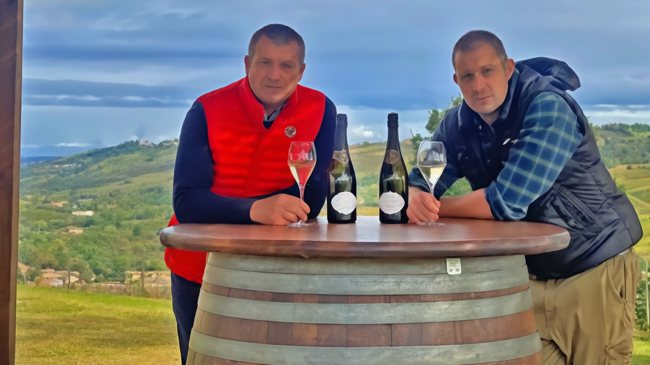 Il Poggio dei Duca Pas Dosé 2019 di MonteCalvo Versiggia vince il premio Bollicina dell’Anno della guida Vini d’Italia del Gambero Rosso. Un'eccellenza spumantistica dalle uve pinot nero a 540 metri di altitudine. Il Poggio dei Duca Pas Dosé 2019 di MonteCalvo Versiggia vince il premio Bollicina dell’Anno della guida Vini d’Italia del Gambero Rosso. Un'eccellenza spumantistica dalle uve pinot nero a 540 metri di altitudine.