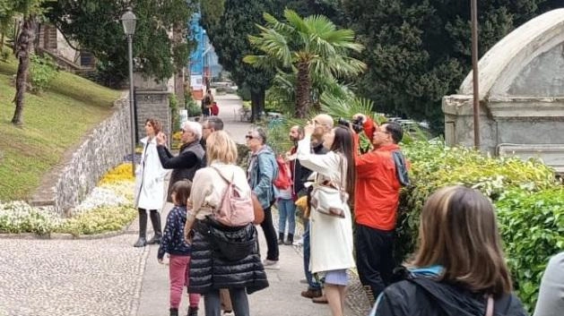 Il giardino si affaccia sulle sponde del Lario e circonda lo storico edifico Il giardino si affaccia sulle sponde del Lario e circonda lo storico edifico
