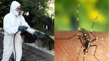West Nile in Lombardia: virus autoctono identificato nelle zanzare a Pavia, Lodi, Cremona e Mantova