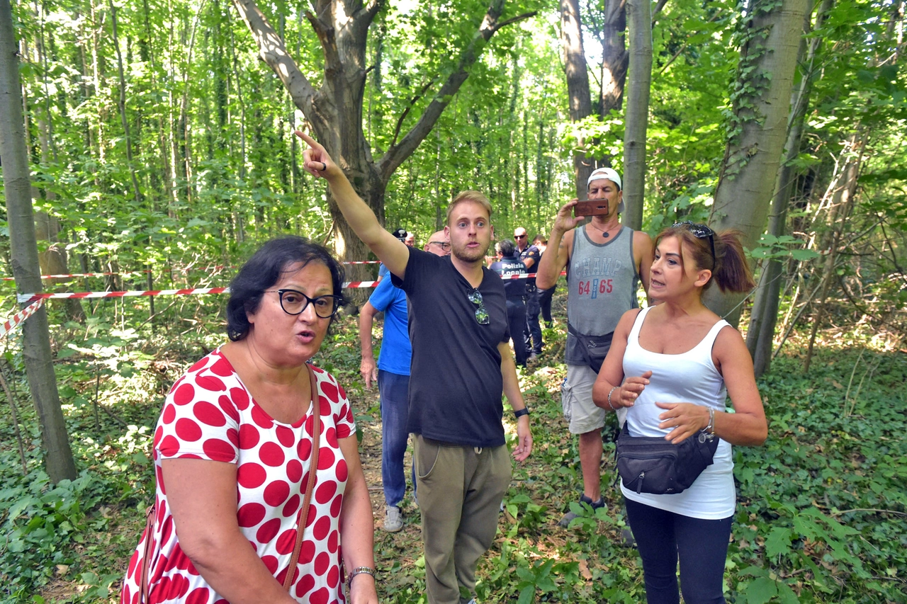 La protesta contro il taglio degli alberi messa in atto il 7 agosto