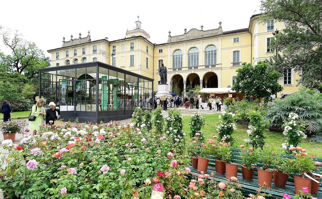 L’architetto e la città verde: "Non bastano nuove piante. Servono amore e cura" L’architetto e la città verde: "Non bastano nuove piante. Servono amore e cura"