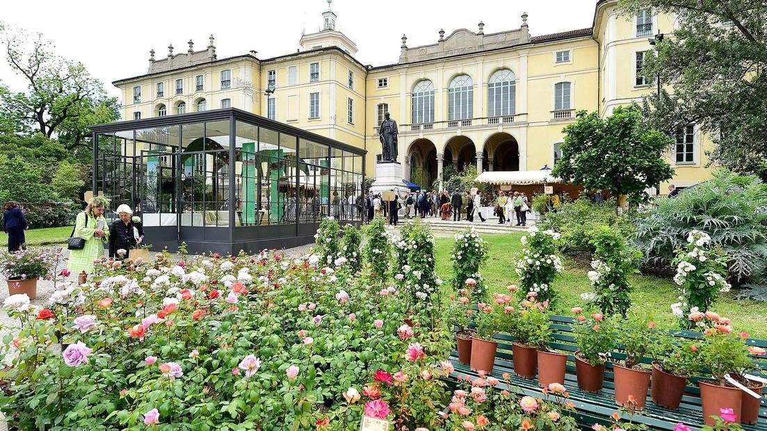 Pizzoni, vicepresidente di Orticola: fondamentali per il nostro benessere "Milano è messa bene per quantità, il problema è la manutenzione". Pizzoni, vicepresidente di Orticola: fondamentali per il nostro benessere "Milano è messa bene per quantità, il problema è la manutenzione".