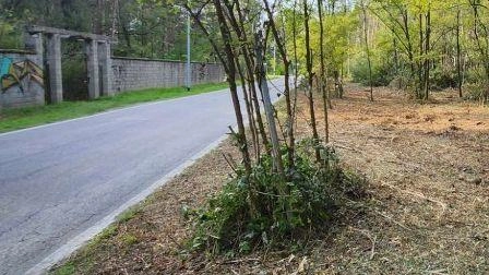 Gli sfalci in corso al Parco delle Groane