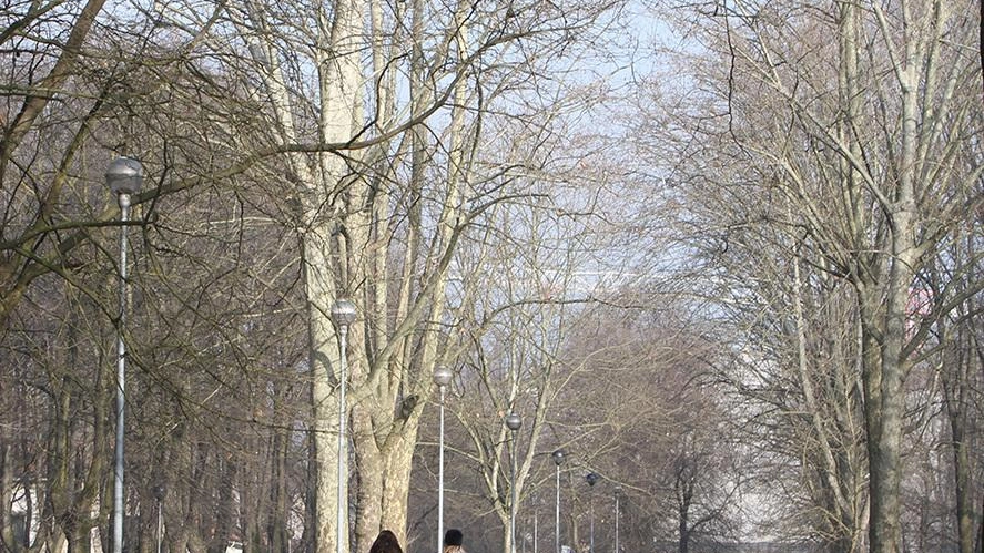 Monza, l’ambizioso progetto del Comune: già stanziati 500mila euro da investire quest’anno. Previsti anche due bandi con l’obiettivo di rimettere in funzione chioschetto e ristorante.