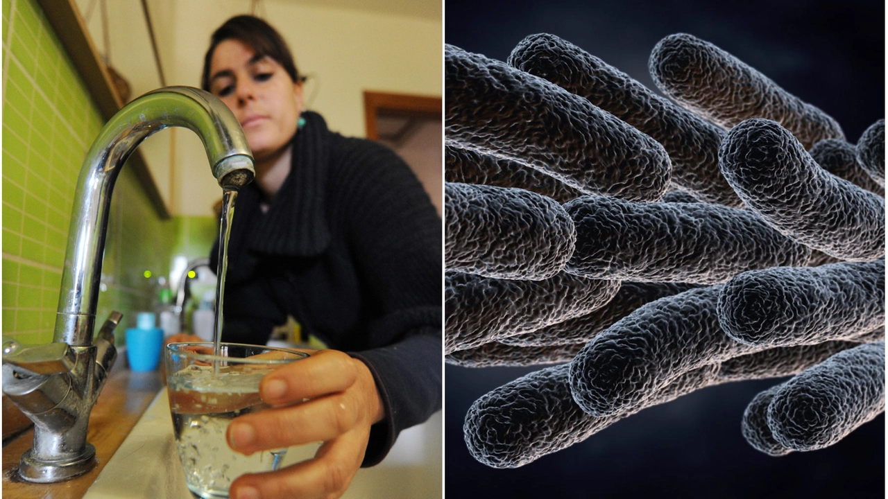Legionella: come tenere lontano il batterio dalle nostre case. I metodi di prevenzione