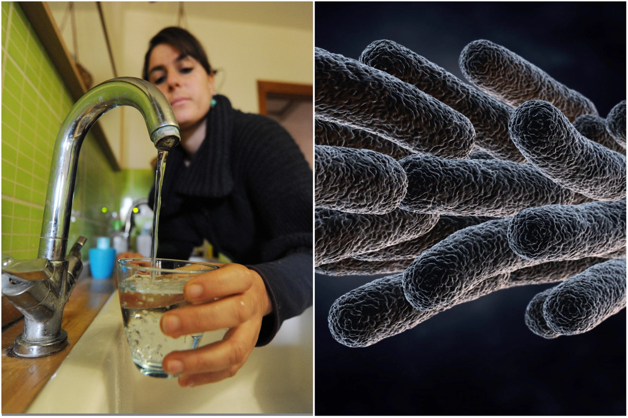 Un rubinetto;  a destra, il batterio della legionella visto al microscopio