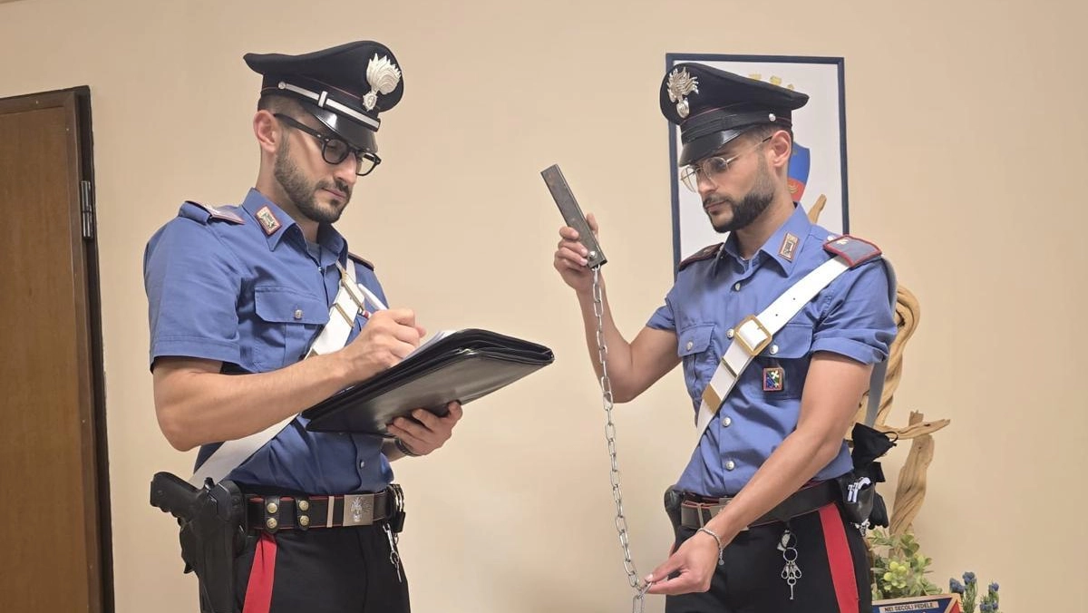 Carabinieri al lavoro