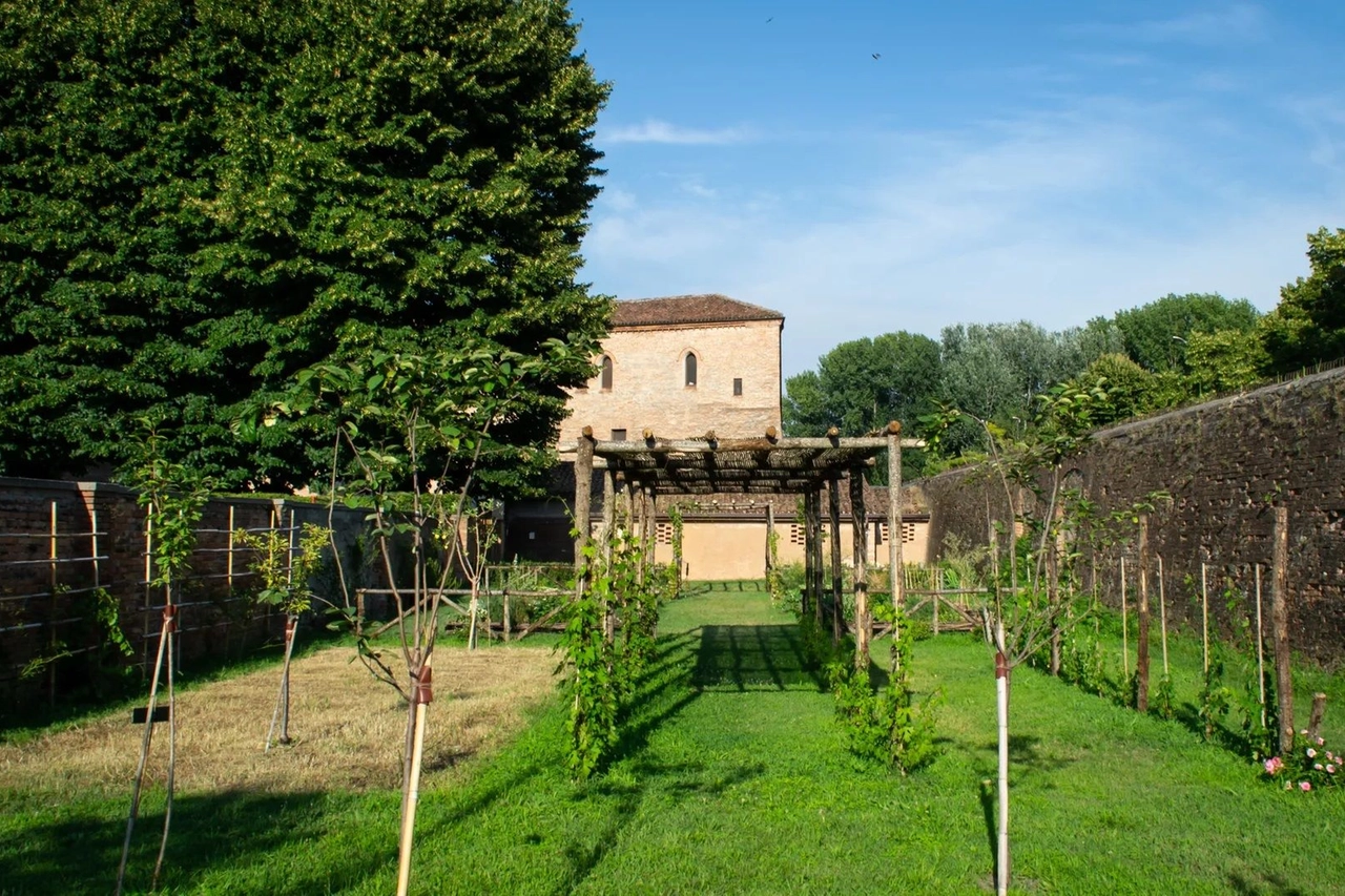 Orto carolingio del gradaro, Mantova