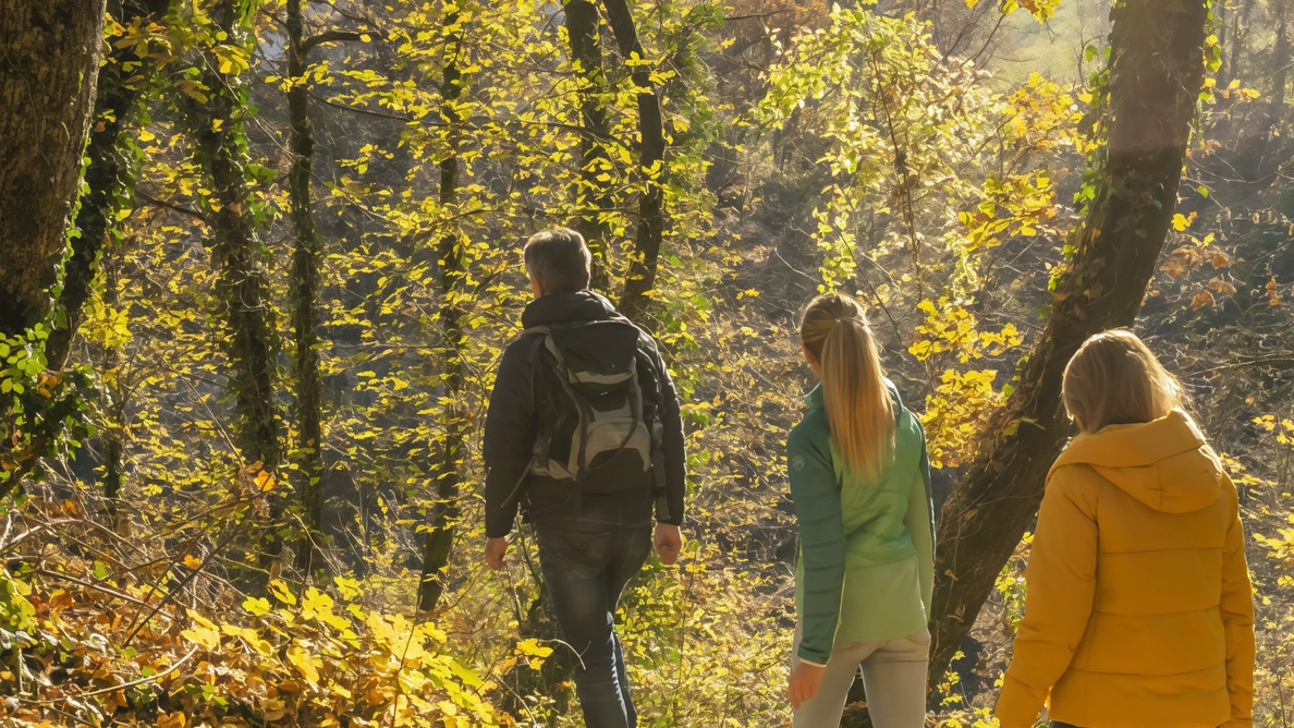 Como, finsettimana con visite guidate in un’oasi dagli alberi maestosi. Si può firmare l’appello perché aumentino le aree a bosco a ridosso dei centri. Como, finsettimana con visite guidate in un’oasi dagli alberi maestosi. Si può firmare l’appello perché aumentino le aree a bosco a ridosso dei centri.