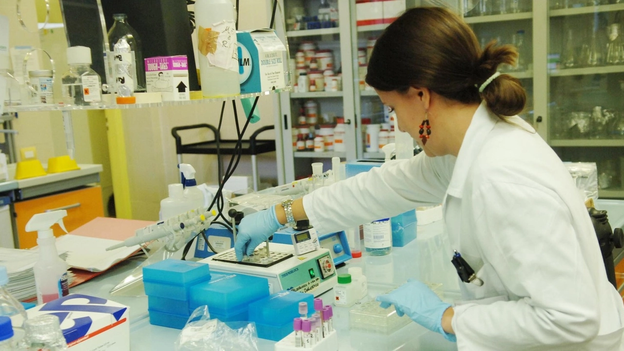 Nuove frontiere per la ricerca, nella foto un laboratorio (Foto archivio) Nuove frontiere per la ricerca, nella foto un laboratorio (Foto archivio)
