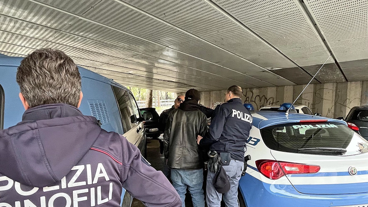 Nell’ambito del repulisti dei boschi del Varesotto e dell’Alto Milanese l’operazione della polizia di Stato di Busto Arsizio con relativo arresto