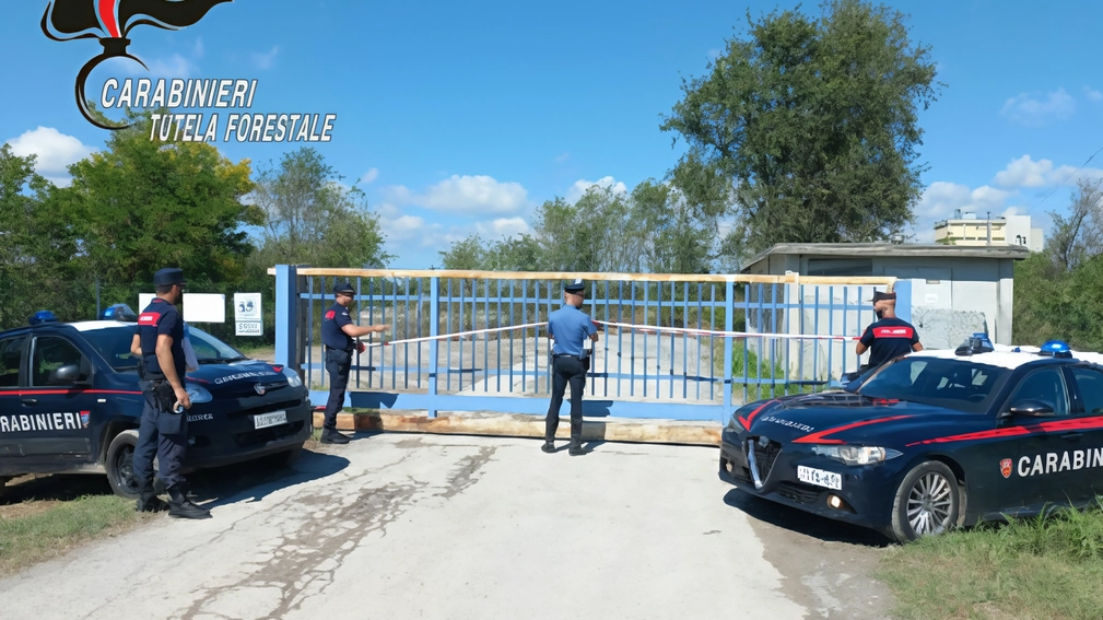 L’operazione dei carabinieri forestali L’operazione dei carabinieri forestali