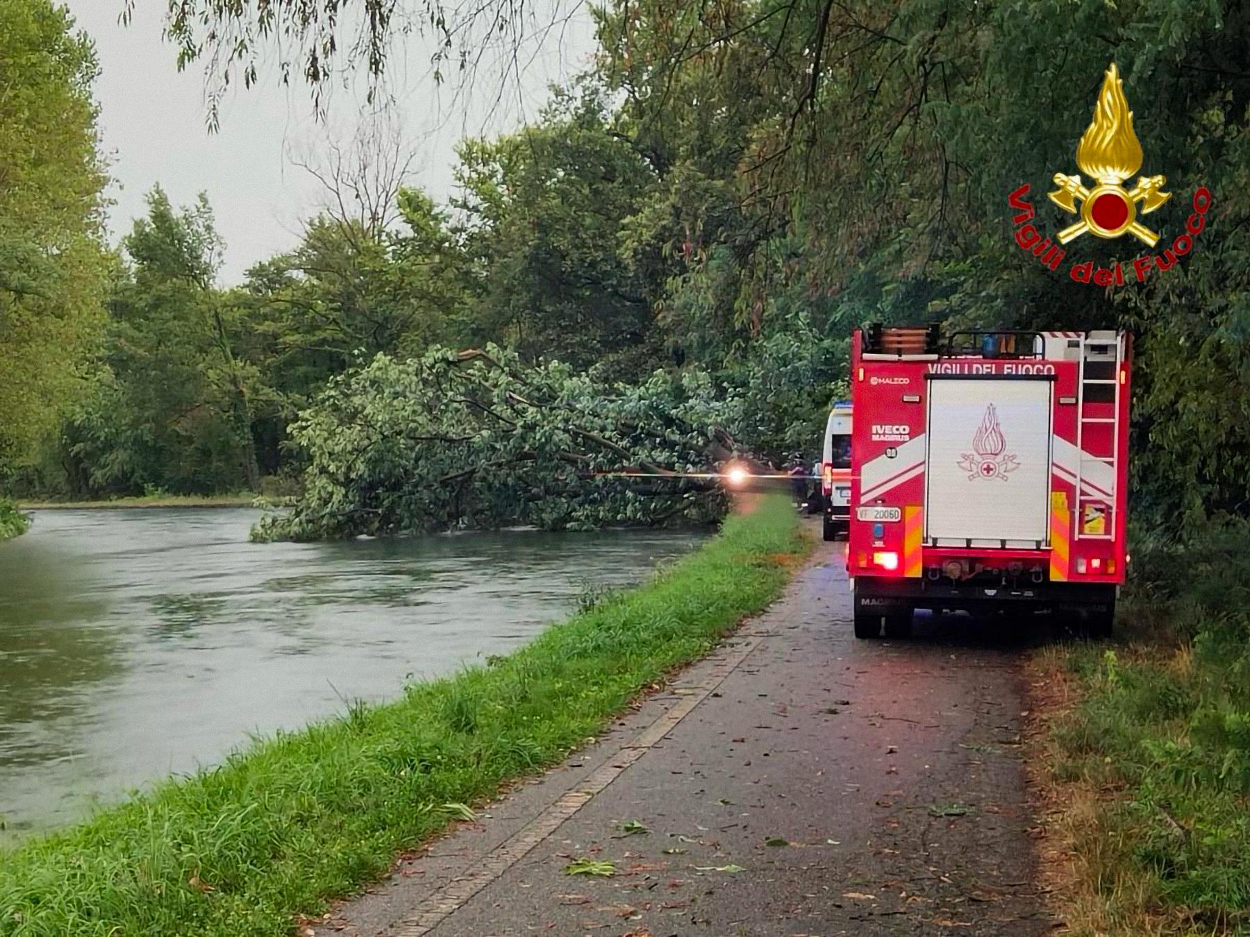 Travolta da un albero mentre passeggiava: San Vittore Olona piange Viviana Maria Baldassini Travolta da un albero mentre passeggiava: San Vittore Olona piange Viviana Maria Baldassini