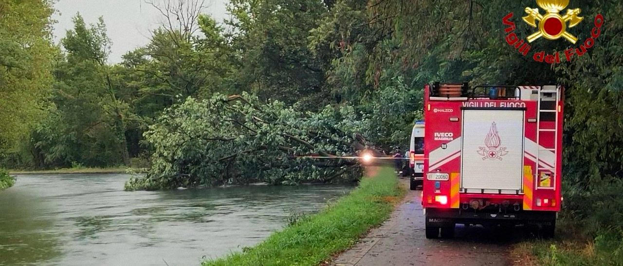 Travolta da un albero mentre passeggiava: San Vittore Olona piange Viviana Maria Baldassini