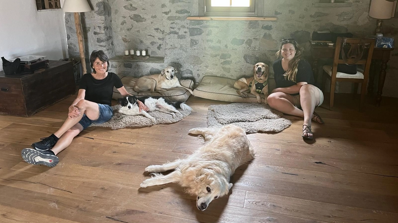 Laura con la figlia e i loro 4 cani Laura con la figlia e i loro 4 cani