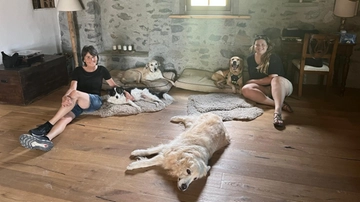 Argo, il miracolo dell’attesa: 2500 chilometri per adottare un cane disabile. “Gli daremo amore”