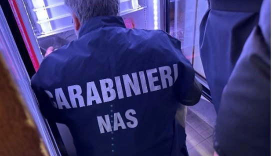 Controlli dei carabinieri del Nas (Foto archivio) Controlli dei carabinieri del Nas (Foto archivio)