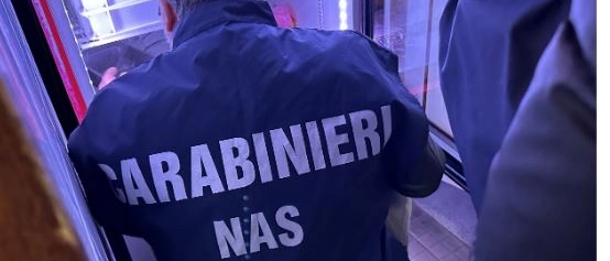 Blitz dei Nas nella Bergamasca: alimenti mal conservati e carenze igieniche. Chiusi locali e bar, multe per 39mila euro