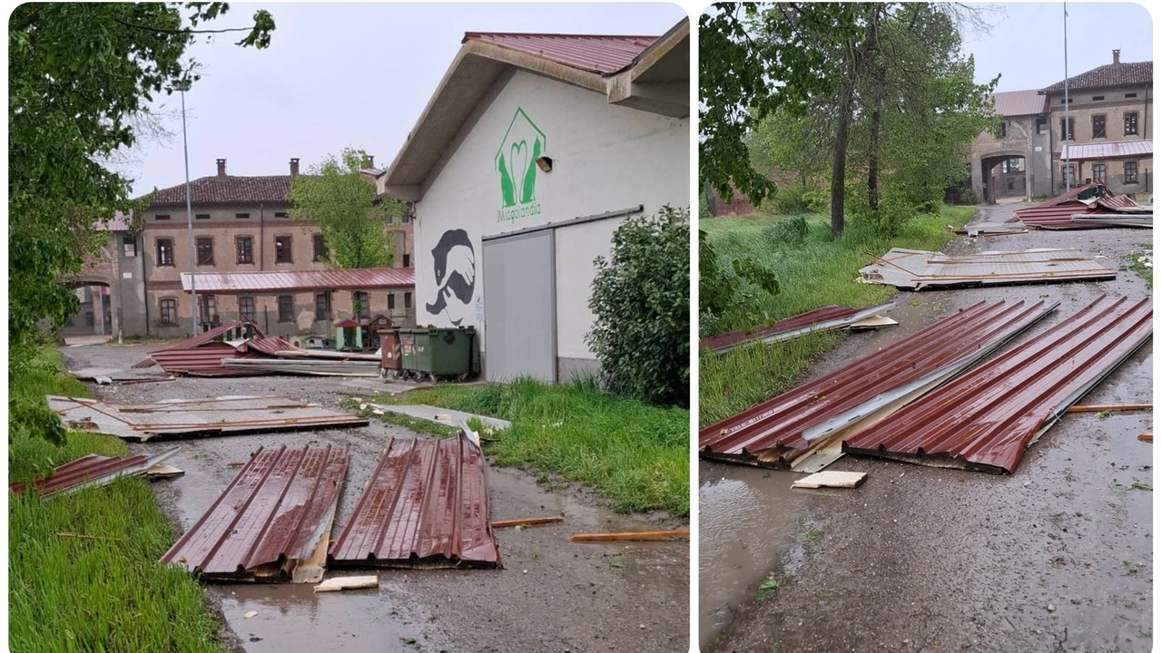 Mediglia, Miagolandia distrutta dal maltempo (Foto profilo facebook)