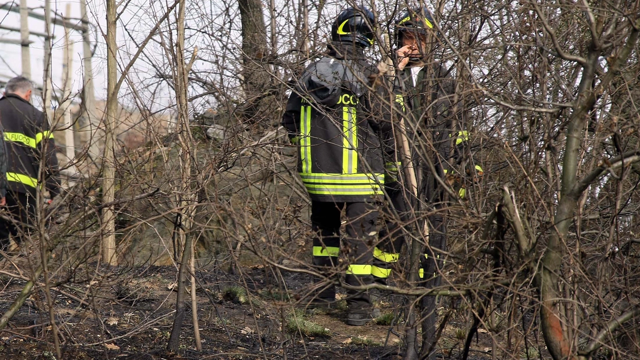 Il lavoro dei vigili dei fuoco è stato fondamentale per evitare che le fiamme raggiungessero un'abitazione Il lavoro dei vigili dei fuoco è stato fondamentale per evitare che le fiamme raggiungessero un'abitazione
