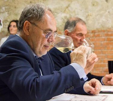"Valtènesi del Garda vino contemporaneo". Parola di Massobrio "Valtènesi del Garda vino contemporaneo". Parola di Massobrio