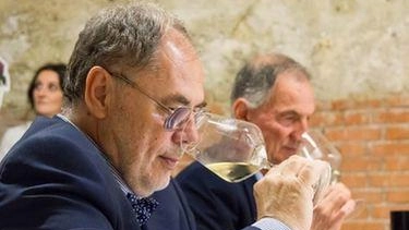 "Per i vini del Valtenesi è il momento della tempesta perfetta. Nel 2020 ho avuto la fortuna di assaggiare tutti... "Per i vini del Valtenesi è il momento della tempesta perfetta. Nel 2020 ho avuto la fortuna di assaggiare tutti...