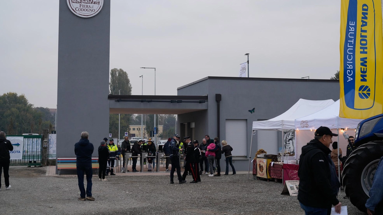 Kermesse colpita al cuore dal virus trasmesso da una zanzara. "Sui bovini non avevamo scelta" Kermesse colpita al cuore dal virus trasmesso da una zanzara. "Sui bovini non avevamo scelta"